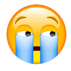 PM-Emoji_007