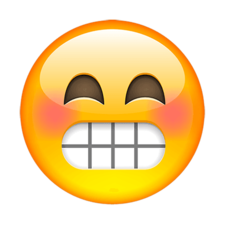 PM-Emoji_006