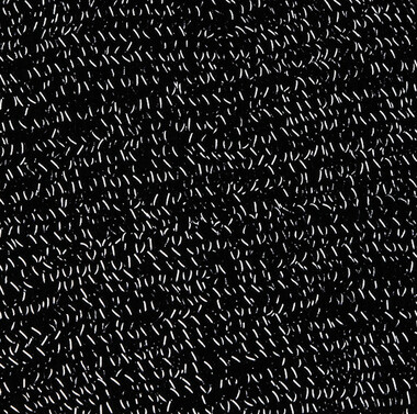 387_69_101_D-2017_01