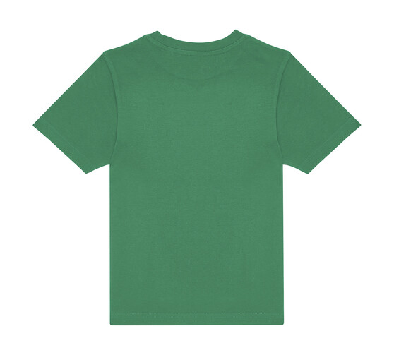 036_42_518_B-2025_01